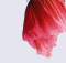 flourishing brands